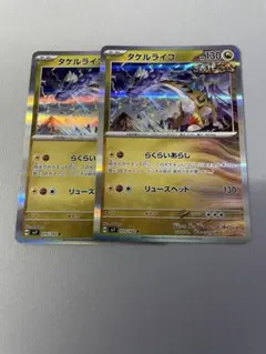 タケルライコ R らくらいあらし　2枚