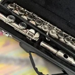 Item thumbnail for item f4c264b6-8df2-4af4-a0e6-0c2dc17b0961