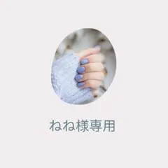 ねね様専用＊ネイルチップセット＊No.１４７