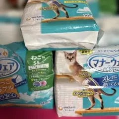 Item thumbnail for item e12697fa-55d5-4507-abb4-9d7d57f0661c