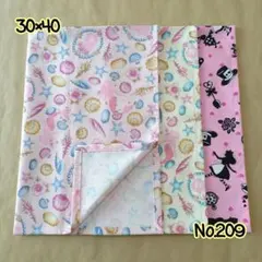 No.209 ランチョンマット(小) 3枚セット 30×40