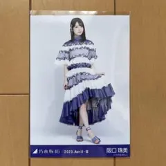 乃木坂46 阪口珠美 生写真 2023 April-Ⅲ 紅白衣装 乃木コレ ヒキ