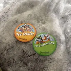 ディズニーランドパーク 缶バッジ