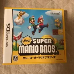 DS NEW スーパーマリオブラザーズ