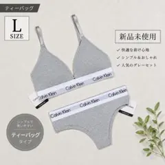 ［新品✨］Calvin Klein ブラジャー ショーツ セット グレー L