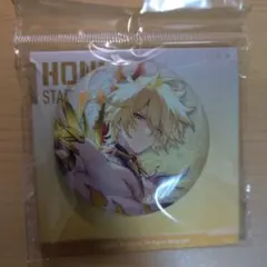 【スターレイル】公式正規品　未開封 ファイノン　缶バッジ　10点 崩壊スターレイル】公式正規品 未開封 ファイノン 缶バッジ 1点｜Yahoo