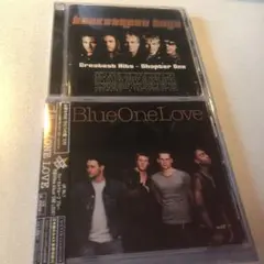 《値下バラ不可》I want it that way 2022