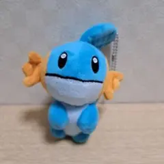 ポケモンキャンバス ミズゴロウ ぬいぐるみ - メルカリ