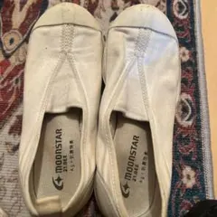 Item thumbnail for item e69f864b-209a-49b9-86d9-a2a09e567192