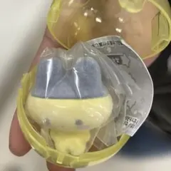 たまごっち　カプセルフロッキーズ　まめっち　ふらわっち