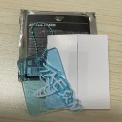 BOYNEXTDOOR テサン アクリルチャーム ボネクド トレカ