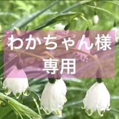 2026年最新】danton ダントン フードの人気アイテム - メルカリ
