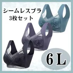 ナイトブラ 6L シームレスブラ ノンワイヤー 大きいサイズ 美胸 着痩せ 3枚
