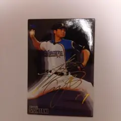 カルビー 侍ジャパン 大谷翔平 SJ-07 金箔サインカード - メルカリ