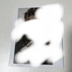 齋藤樹愛羅 直筆サイン入りチェキ