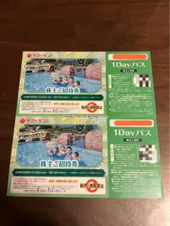 東京サマーランド 株主ご招待券 1Dayパス 2枚セット　株主優待のサムネイル