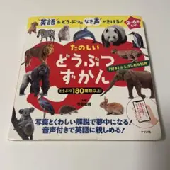 Item thumbnail for item d0039a19-fcff-4e51-a78d-6c1253b3783a