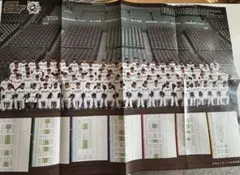 阪神タイガース 集合写真ポスター2025