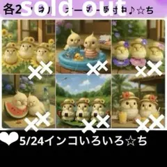 オーダーページ　5/24インコいろいろ☆ちパネル　ハンドメイド