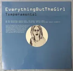 2026年最新】everything but the girl lpの人気アイテム - メルカリ