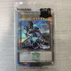 2026年最新】ブラック・マジシャン 決闘者伝説 25th Ver.の人気