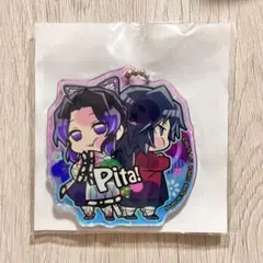 鬼滅の刃 ぴた！でふぉめ アクキー BOX特典 冨岡義勇 胡蝶しのぶ 時透