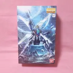 MG 1/100 ガンダムX [未組立品] ガンプラ ガンダム ガンダムXXのサムネイル