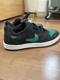 25cm NIKE SB アリウープ　ブラック/ミスティックグリーン
