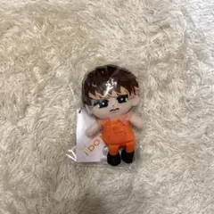 【新品未開封】SnowMan すのチル ぬいぐるみ 向井康二