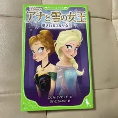 アナと雪の女王 愛されるエルサ女王 & 失われたアナの記憶