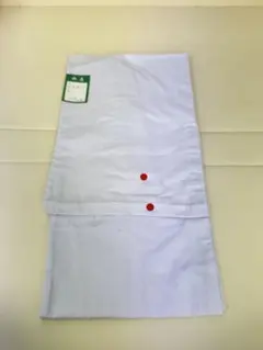 Item thumbnail for item b17eb1f3-e209-46f4-8c1c-0bb3991c9b05