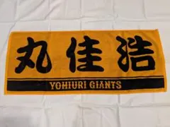 Item thumbnail for item 3096404e-d55c-4981-9863-2b9138611db2