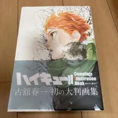 ハイキュー!! Complete Illustration book 終わりと…