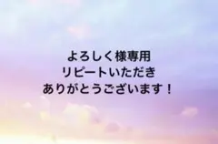 よろしく様 リクエスト 2点 まとめ商品