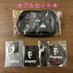 LADY GAGA VIP GOLD グッズ セット - メルカリ