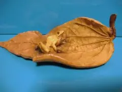 Item thumbnail for item e64e126f-4949-40e4-8adb-1b06abdeb4cd