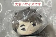 大きい方　もちもちマスコットMS 宮 治　宮治　アニメイト　ぬいぐるみ