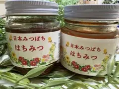 日本ミツバチの蜂蜜  (570×2本) 日本ミツバチの蜂蜜 570g×2本