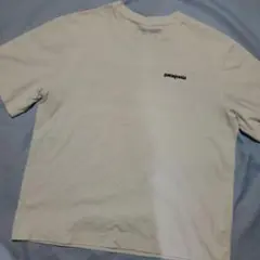 patagonia グラフィックTシャツ ホワイト