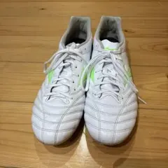 Item thumbnail for item c7298cc3-270d-4f47-86a7-61e6a0a94030