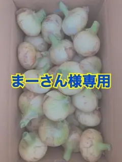 まーさん様専用