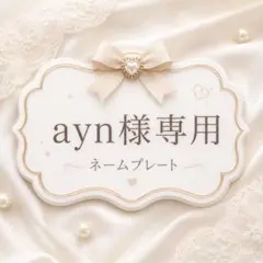 AYN 전용 명판