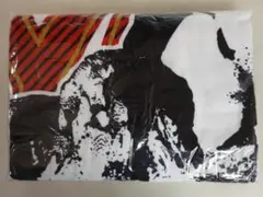 矢沢永吉 2006年 ツアー ROCK OPERA2 ビーチタオル 新品 - メルカリ