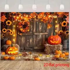 ハロウィン　かぼちゃ　ひまわり　布　背景　撮影　フォトブース　トリミング　秋　犬