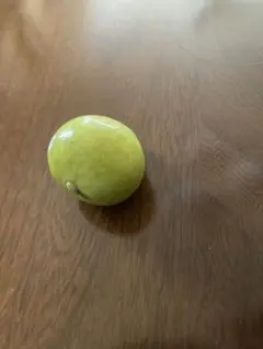 ダンカン様専用