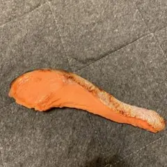 鮭　食品サンプル　マグネット