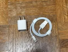 新品未使用　Apple純正品　LightningケーブルとACアダプタ