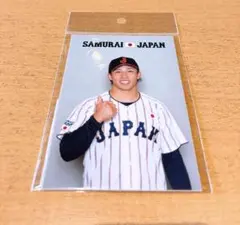 2025 侍ジャパン　ブロマイド　野村勇　99