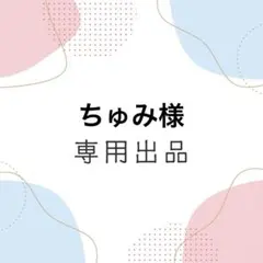 ちゅみ様 リクエスト 2点 まとめ商品