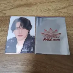 宮舘涼太　カードセット